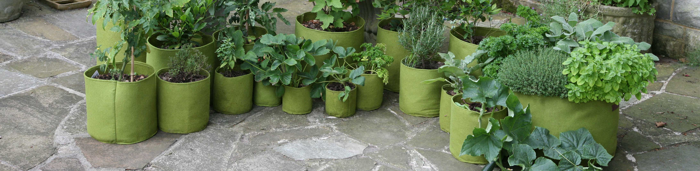 Pots & Planters