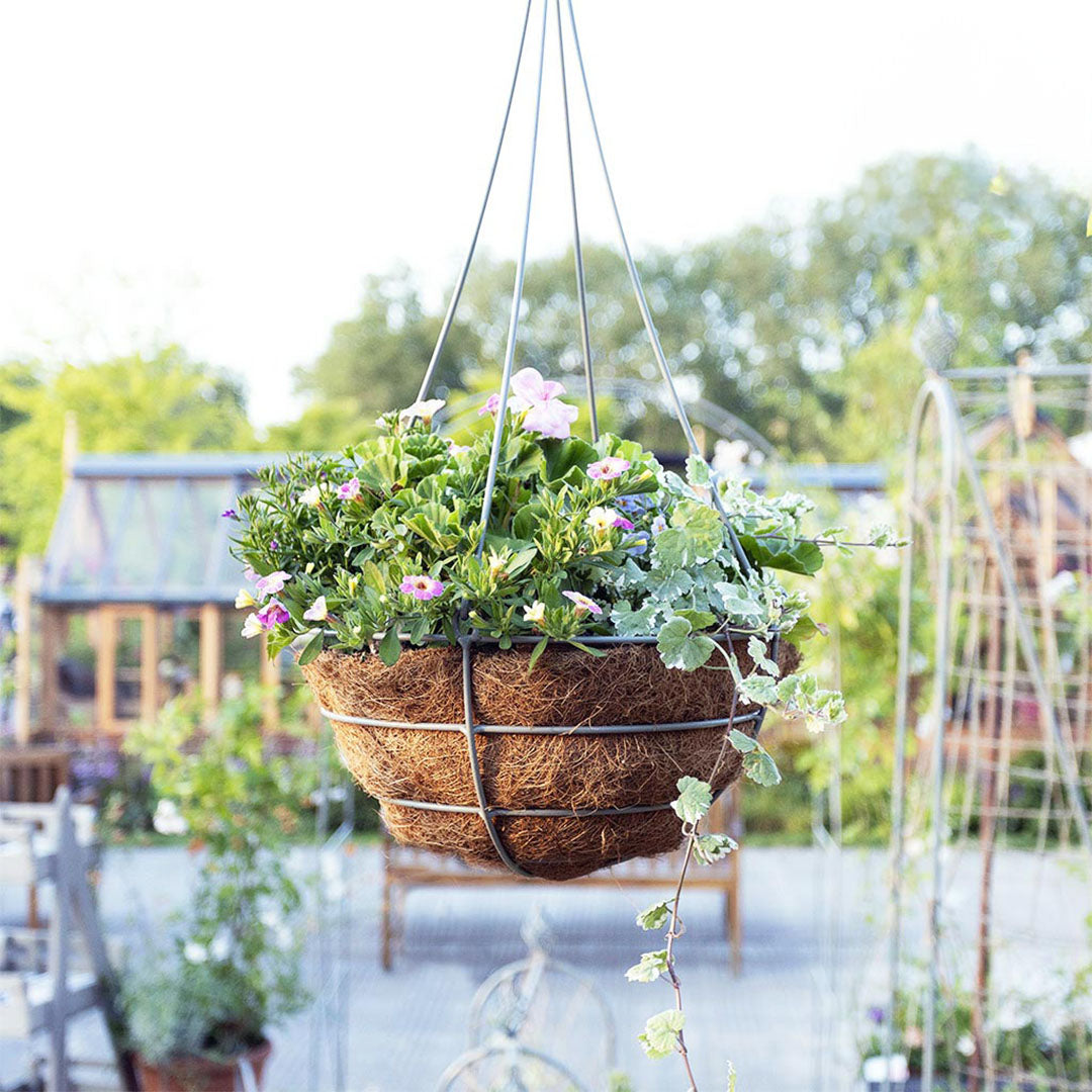 hanging basket green plants Elegance Hanging Basket - Small 30cm