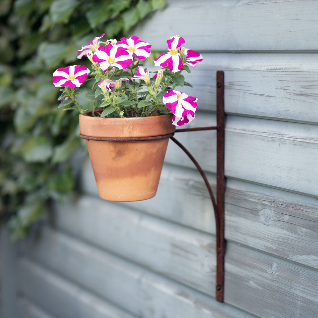 Elegance Wall Mount Pot Holder | Agriframes US | Agriframes USA