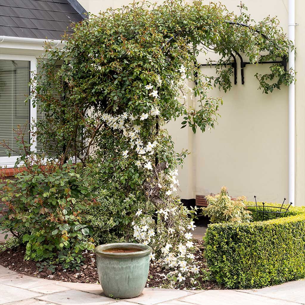 indoor plant arch Wall-Mounted Garden Arch | English Garden Design | Galvanized Steel | Matte Black Finish | (W)4ft 11” × (H)7ft 6” × (D)1ft 5"