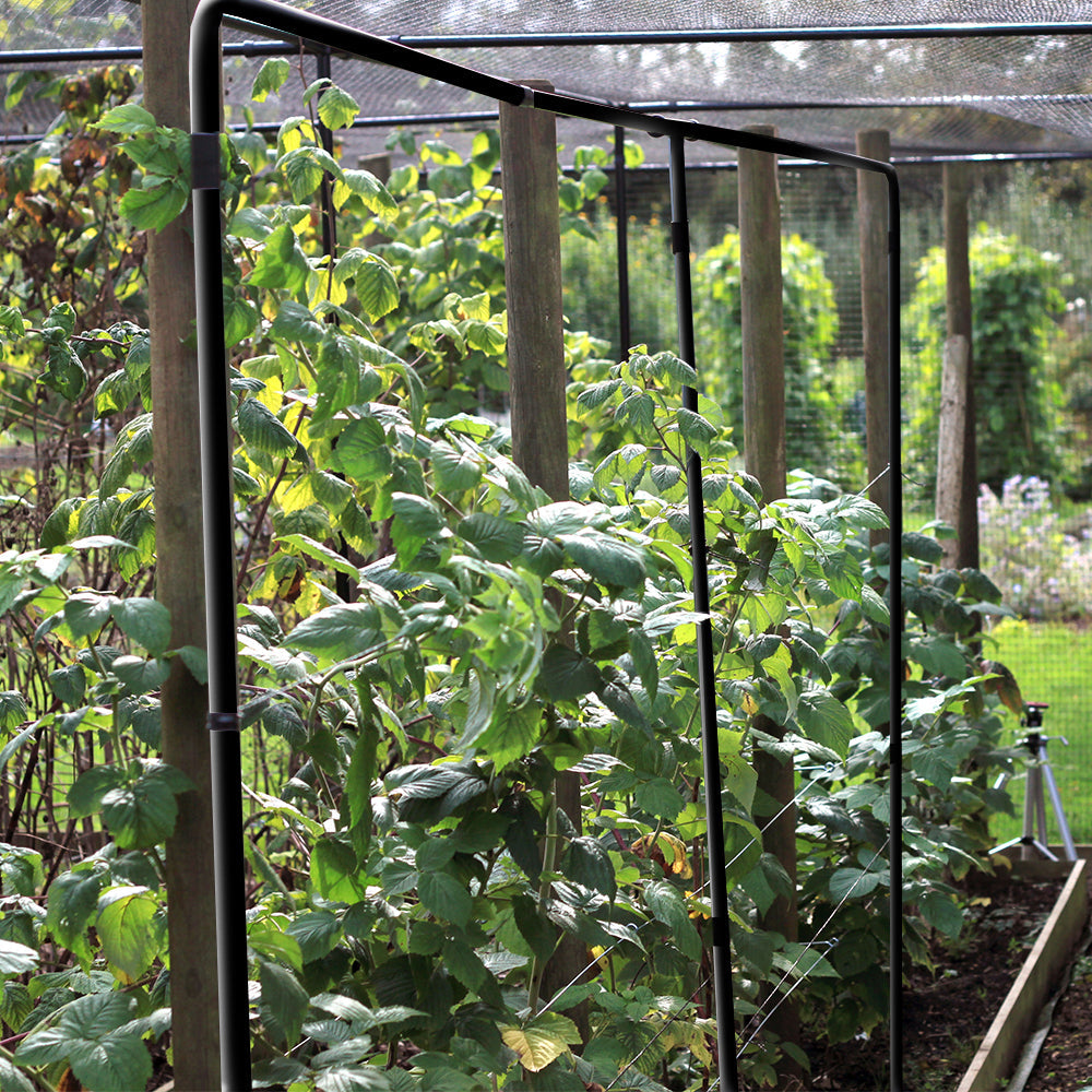 house plant support frame Raspberry Support