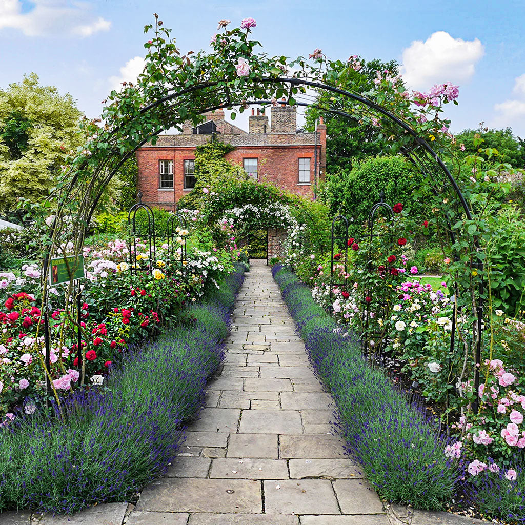 Rose Garden Ideas: How to Design Inspiring Gardens | Agriframes USA