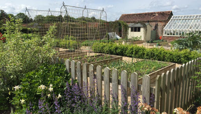 Create A Spectacular Kitchen Garden