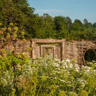 Spring is All About Color: Transform Your Garden with Vibrant Planting