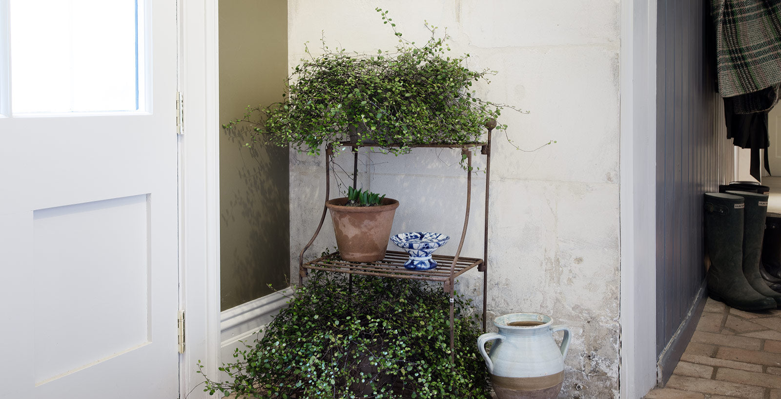 Discover our range of elegant metal plant stands