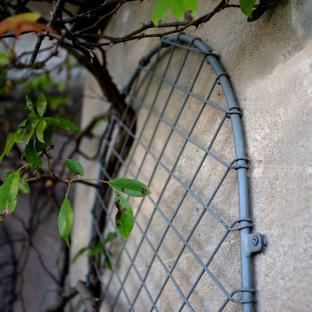 Elegance Round Trellis