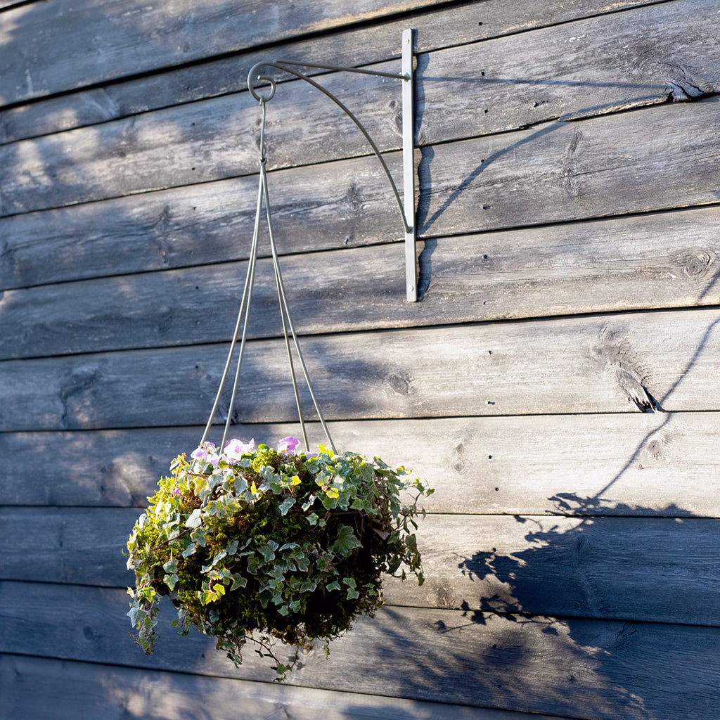 hanging basket plant kits Elegance Hanging Basket - Small 30cm