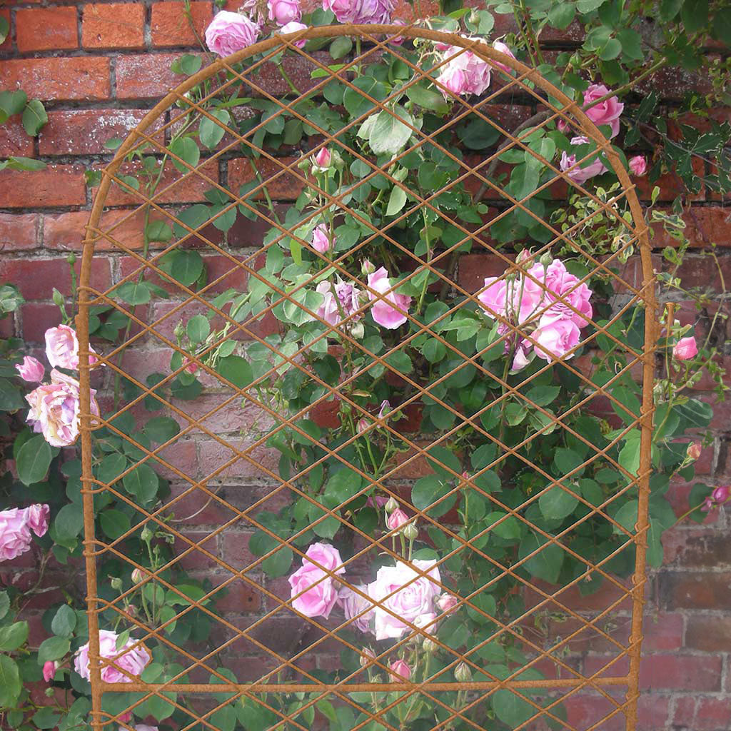 plant round trellis Elegance Round Screens