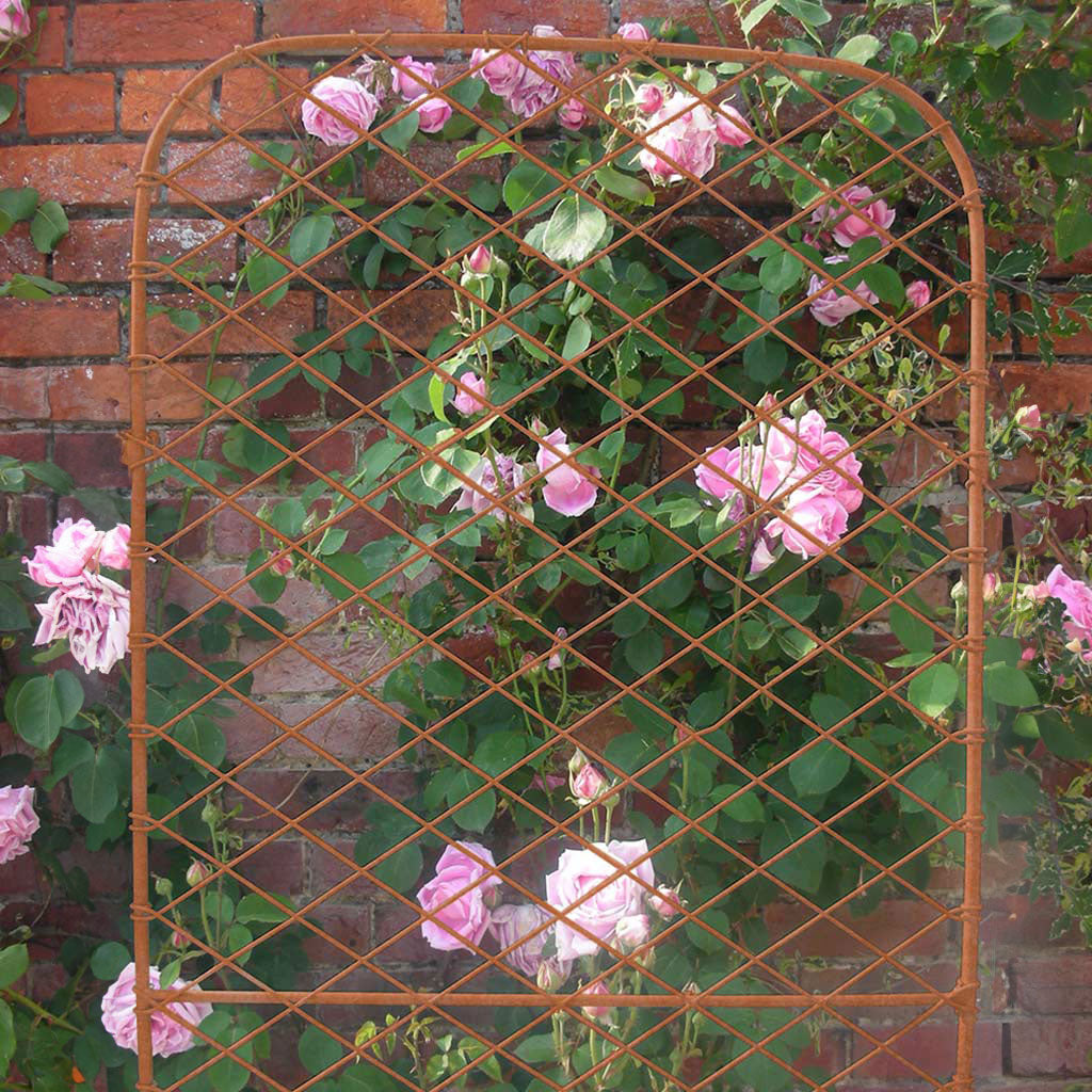 Rustic Tralis Monet Elegance Trellis | Garden Trellis | Agriframes USA