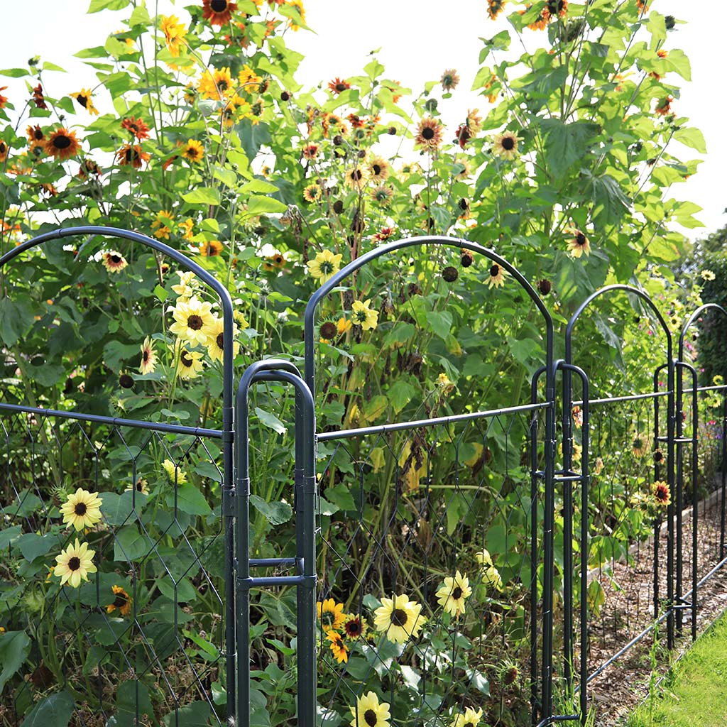 ornamental metal garden screen with yellow flowers