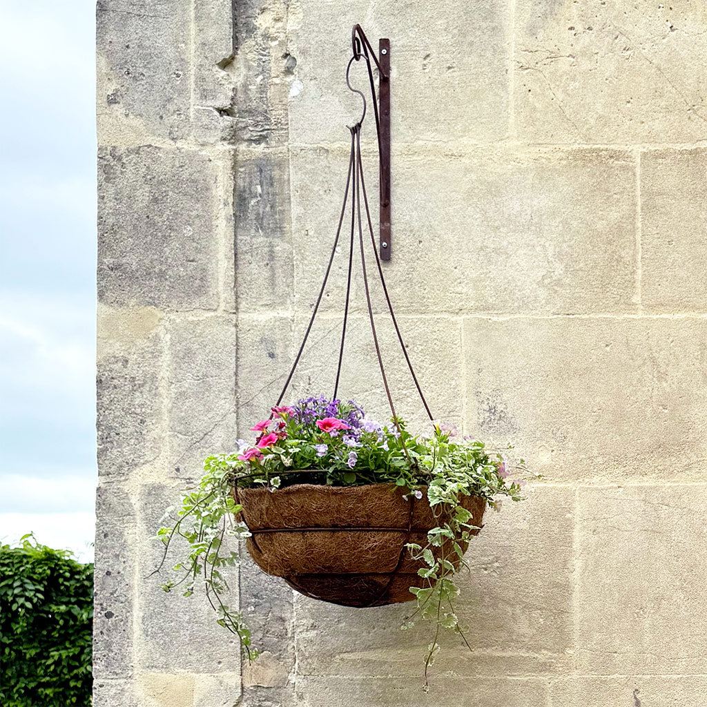 bracket for hanging plant Elegance Hanging Basket Bracket