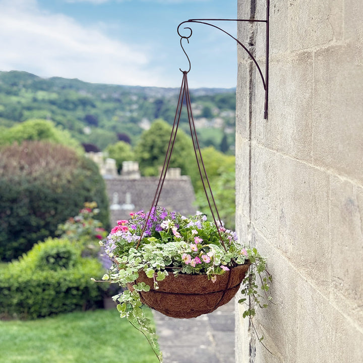 buy hanging basket plants online Elegance Small Hanging Basket | Metal Planter | Rustic Finish | (W)12 in