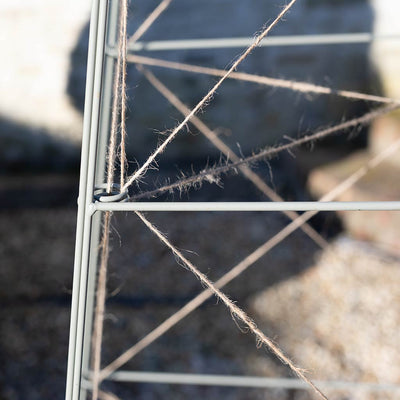 Plant Frames - Plant Climbing Frames | Agriframes US | Agriframes USA