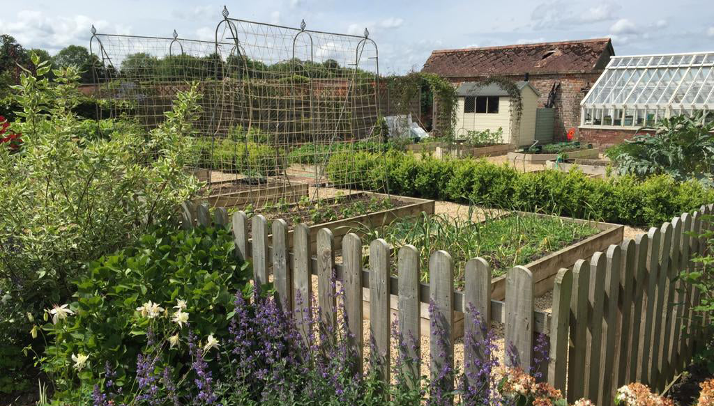 crop growing garden