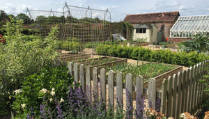 crop growing garden
