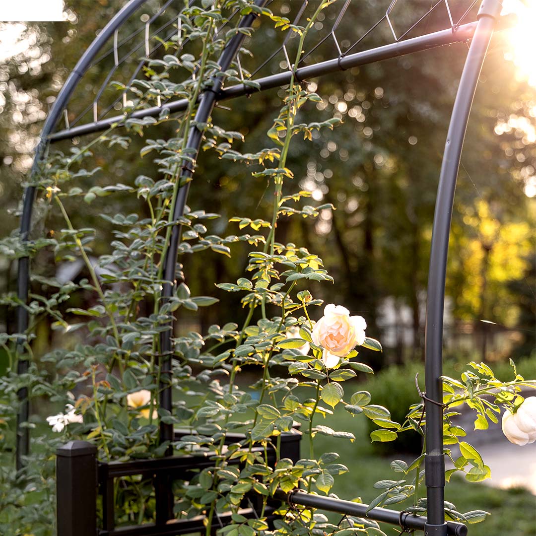 Round Pergola - Agriframes USA