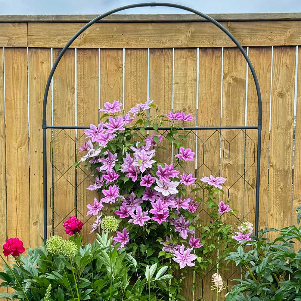 Round Screen | Garden Screens | Agriframes USA
