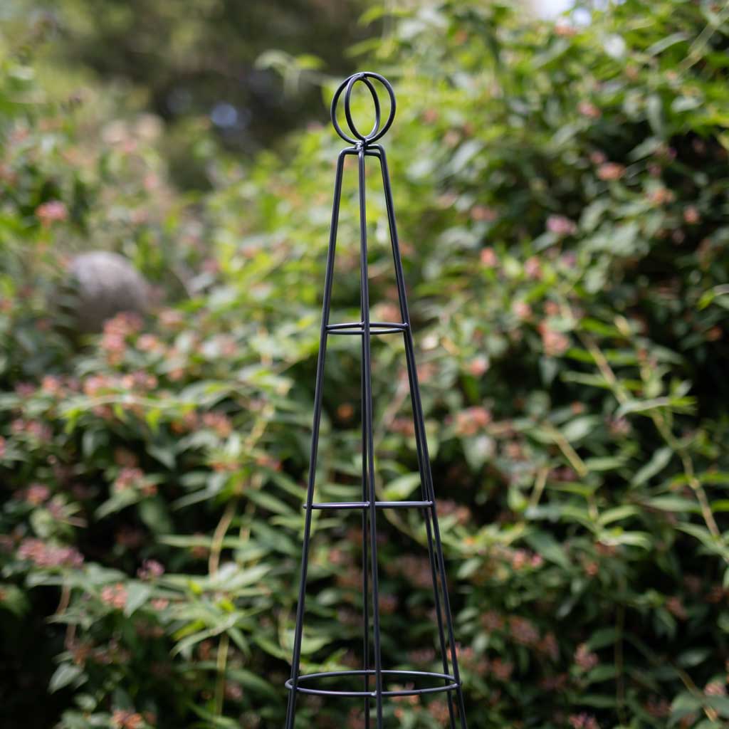 Obelisk オベリスク スタッズ カーゴデニム 28 日本製 Elegance Salisbury Obelisk | Garden Obelisks | Agriframes USA
