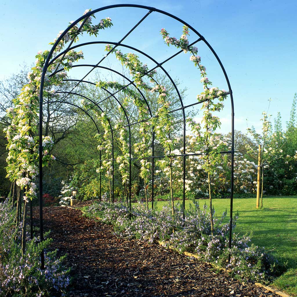 round garden pergola with climbing plants
