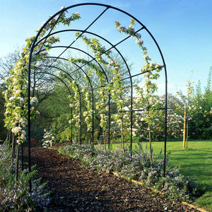 round garden pergola with climbing plants