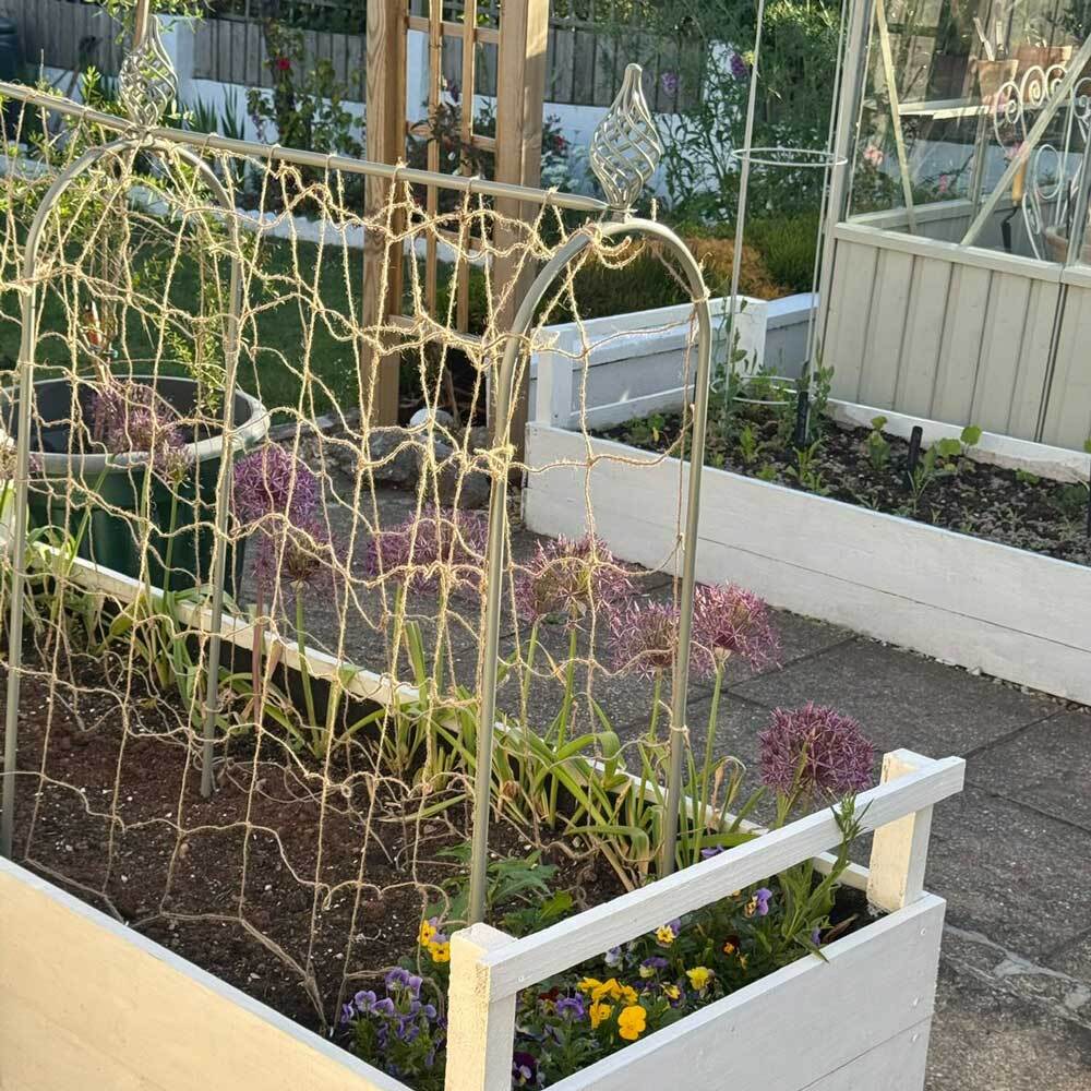 Elegance Pea & Bean Hoops