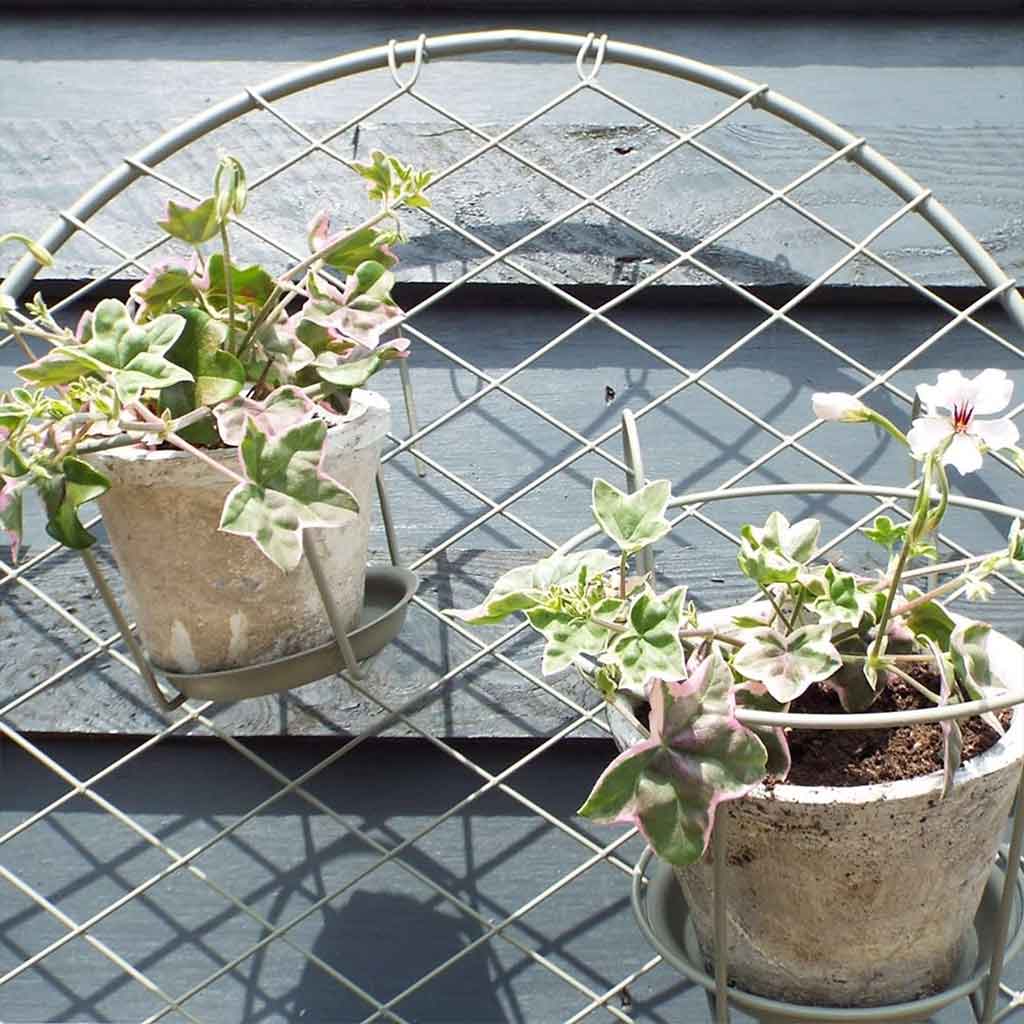 plant trellis near me Garden Screens - Elegance Collection - Round