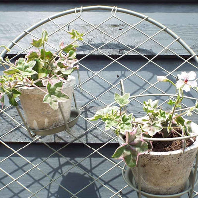 Elegance Round Trellis