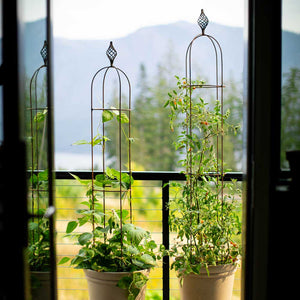Winter Planting for Pots and Containers | Agriframes USA