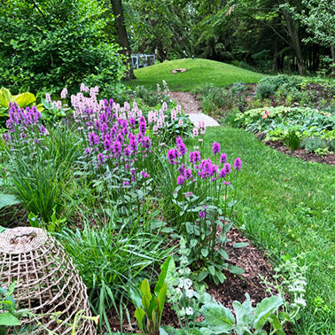 Garden with purple flowers and greenery, featuring a woven garden sculpture.