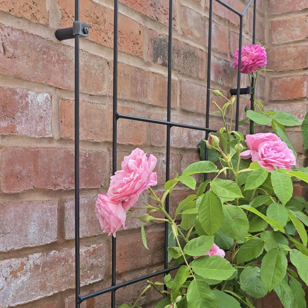 Georgian Window Trellis | English-Designed | Matte Black | Steel Panel | (W)24 in × (H)48 in