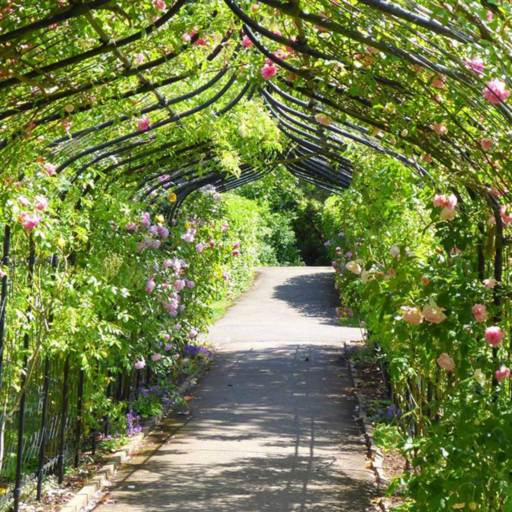 Gothic Pergola