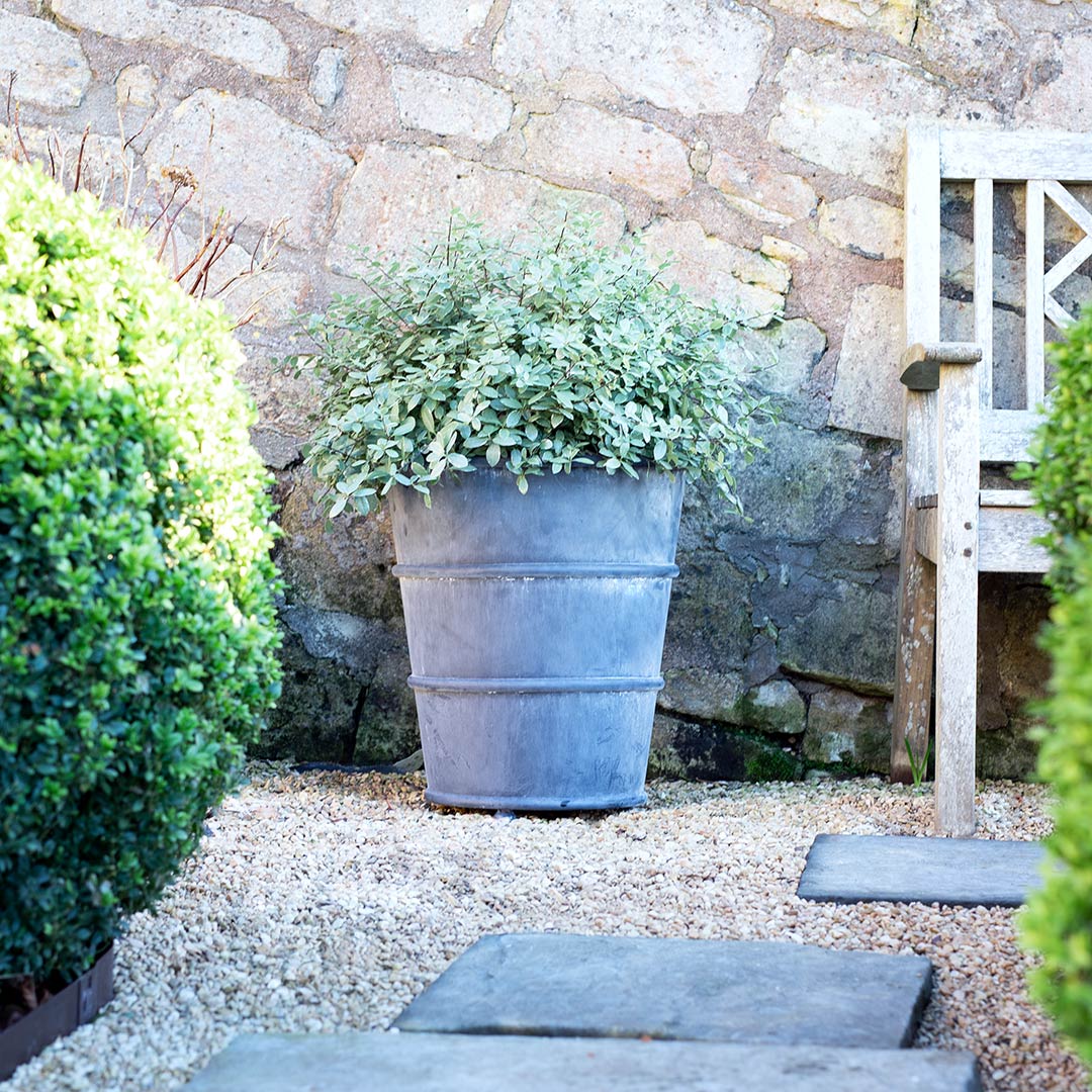 Classic Hooped Zinc Metal Planter
