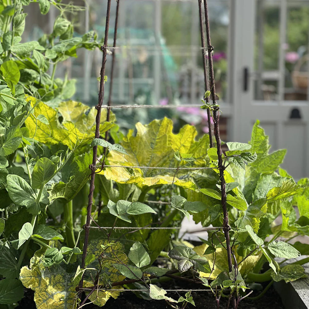 Elegance Jute Strung Obelisk | Garden Obelisks | Agriframes USA