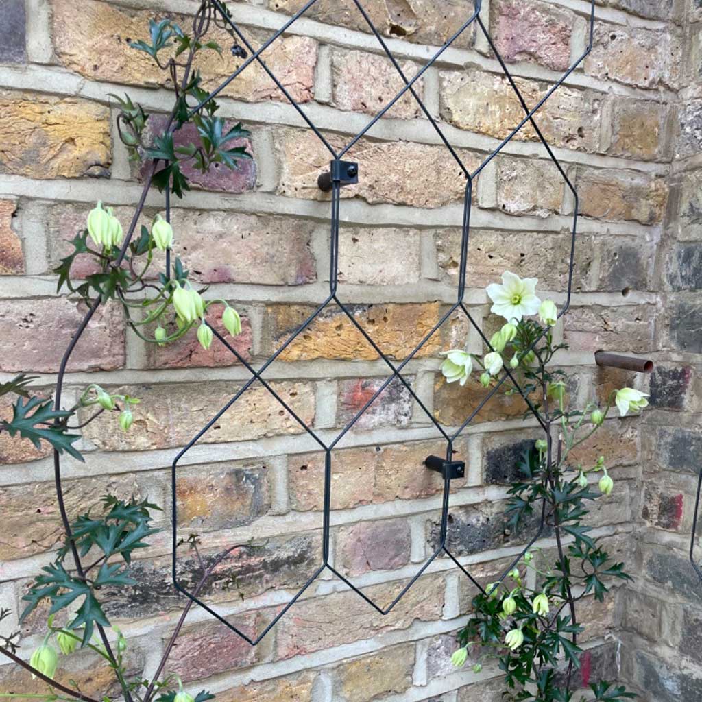 wall mounted wood trellis Lattice Wall Trellis