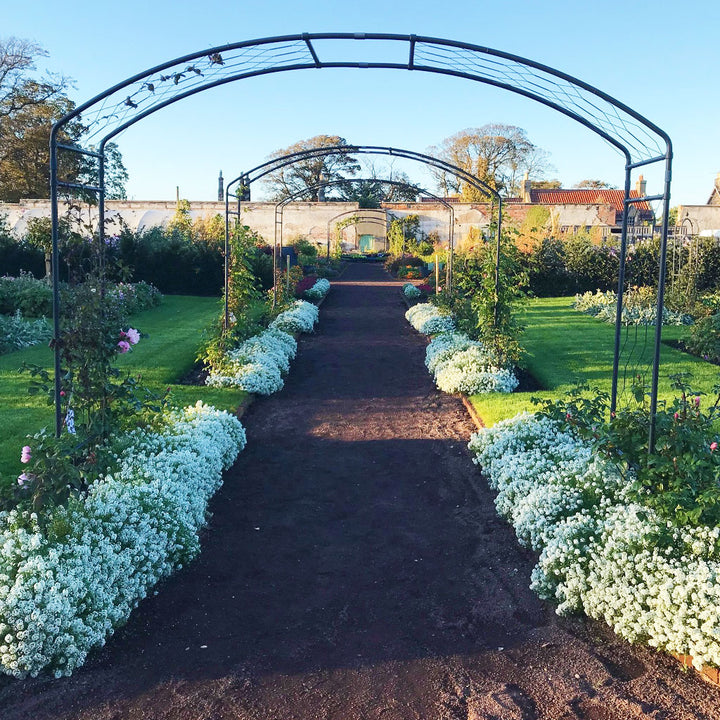 Monet Garden Arch I Garden Arches | Agriframes USA