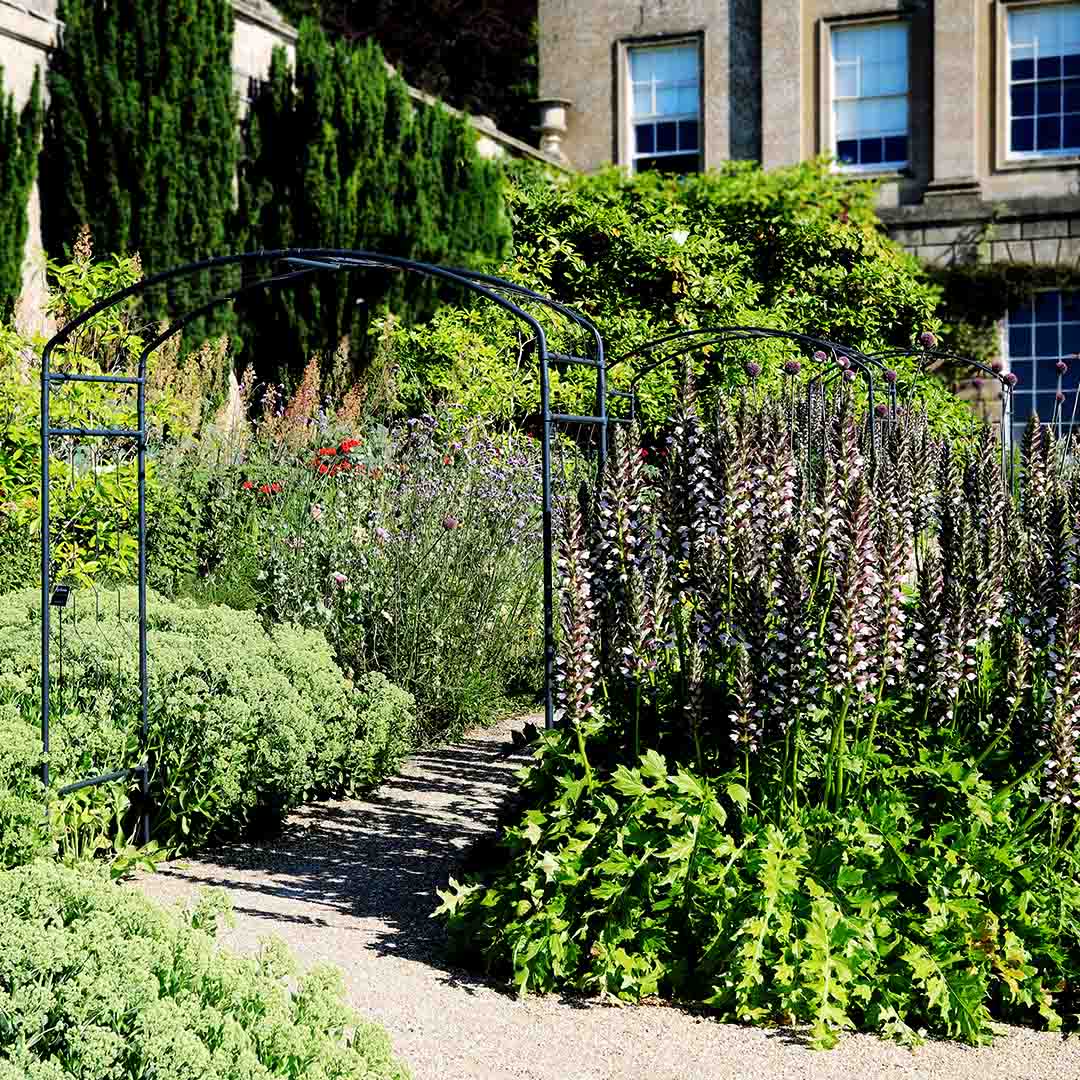 Climbing Plant Supports | Agriframes USA