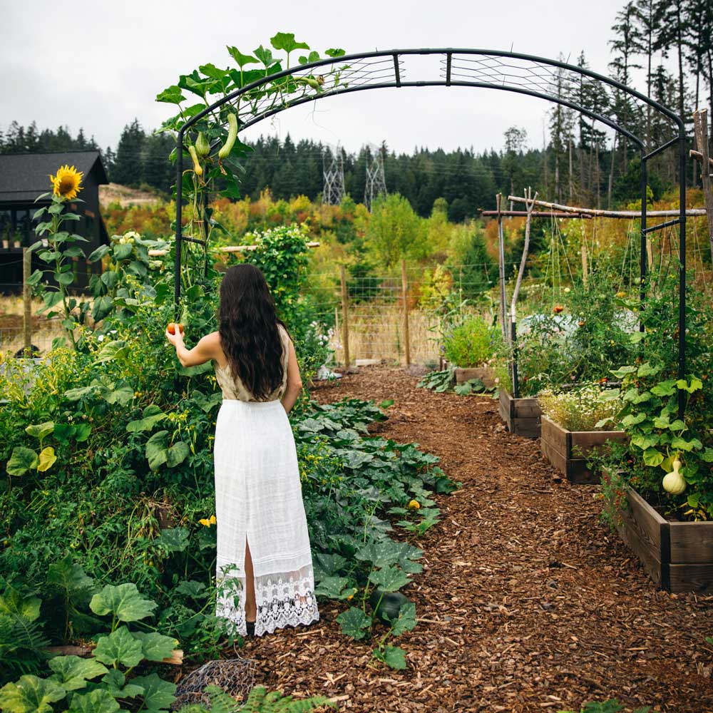 woman holding fruit growing on a metal garden arch