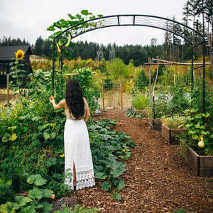 woman holding fruit growing on a metal garden arch