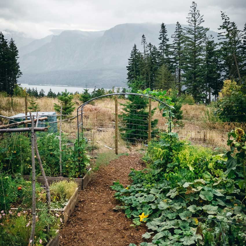 metal garden arch in garden in front of a mountain