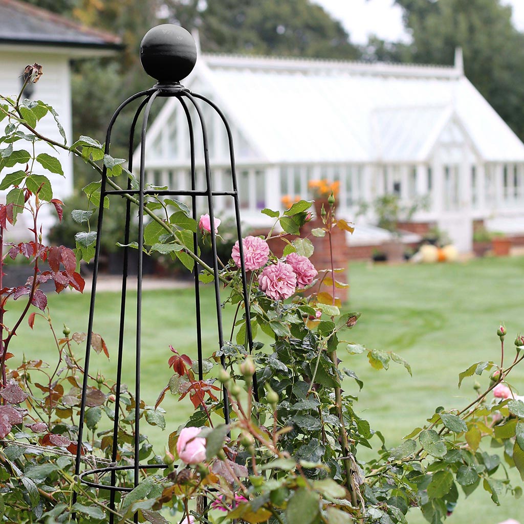 Elegance Queen Obelisk - Agriframes USA