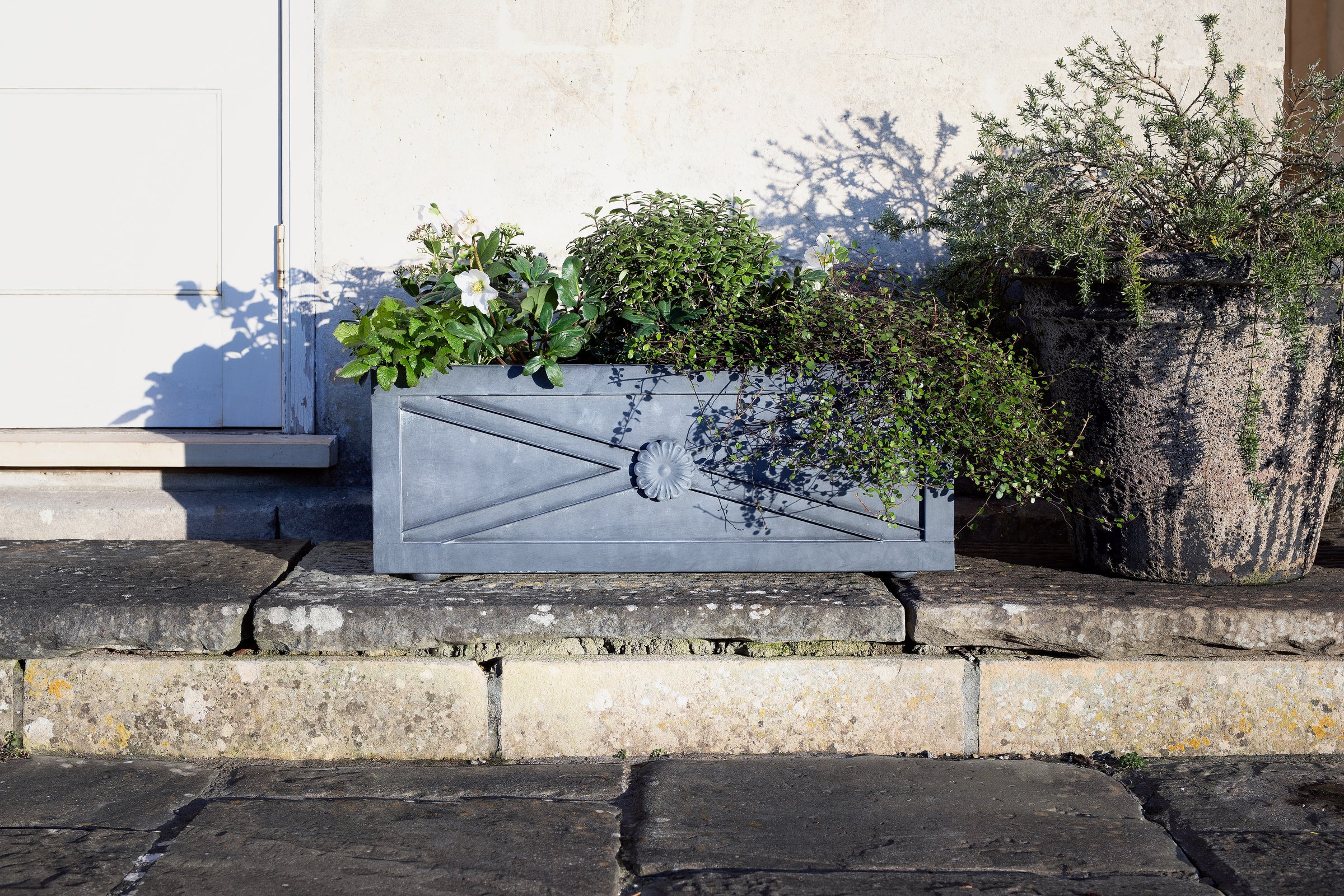 Agriframes Regency Zinc Trough Planter on a stone ledge with various plants in it