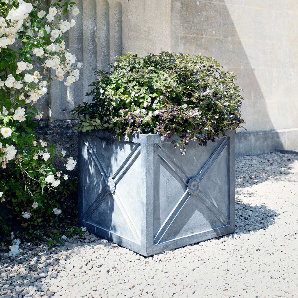 regency zinc planter with evergeen growing inside 