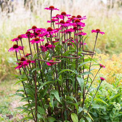 pink flowers supported by a ripple plant support