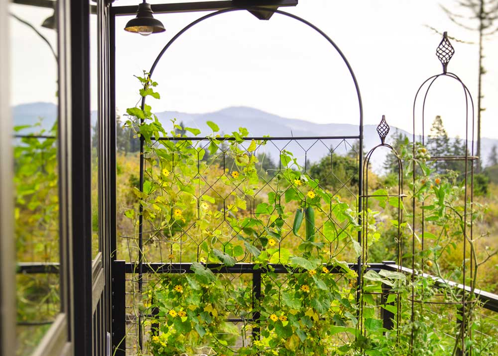 In Conversation WithEva Kosmas Flores | View From the Garden