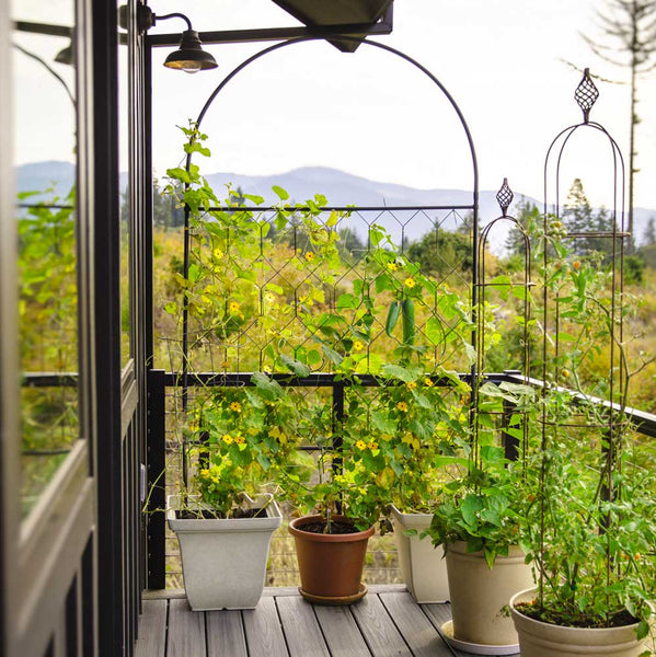 round plant trellis Round Garden Screen | Galvanized Steel | Matte Black | (W)3 ft 11 in × (H)6 ft 2 in