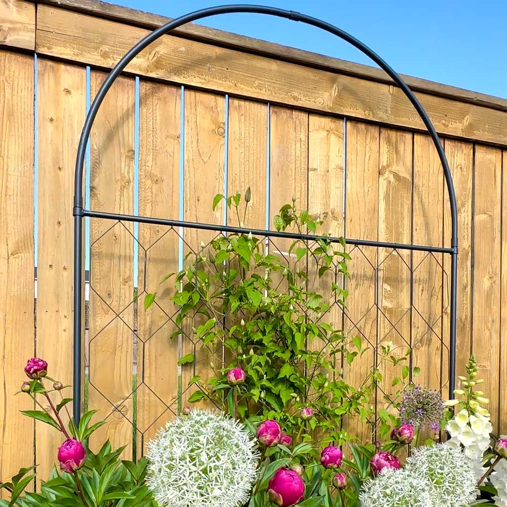 round garden trellis with climbing plants