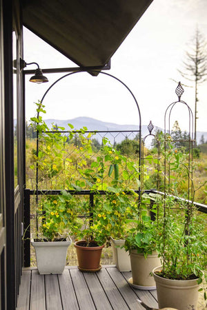 garden screen and obelisks in posta on a balcony