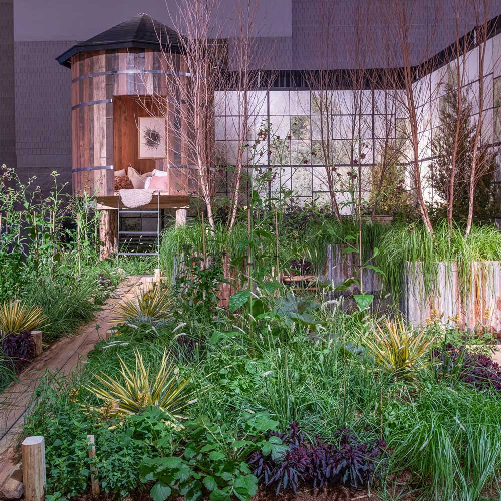 Interview with Susan Cohan | Agriframes USA