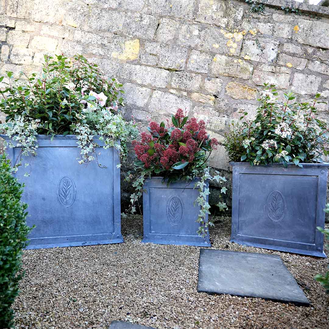 tuscan zinc planters - three sizes in a row - S,M,L - with colourful planting growing out