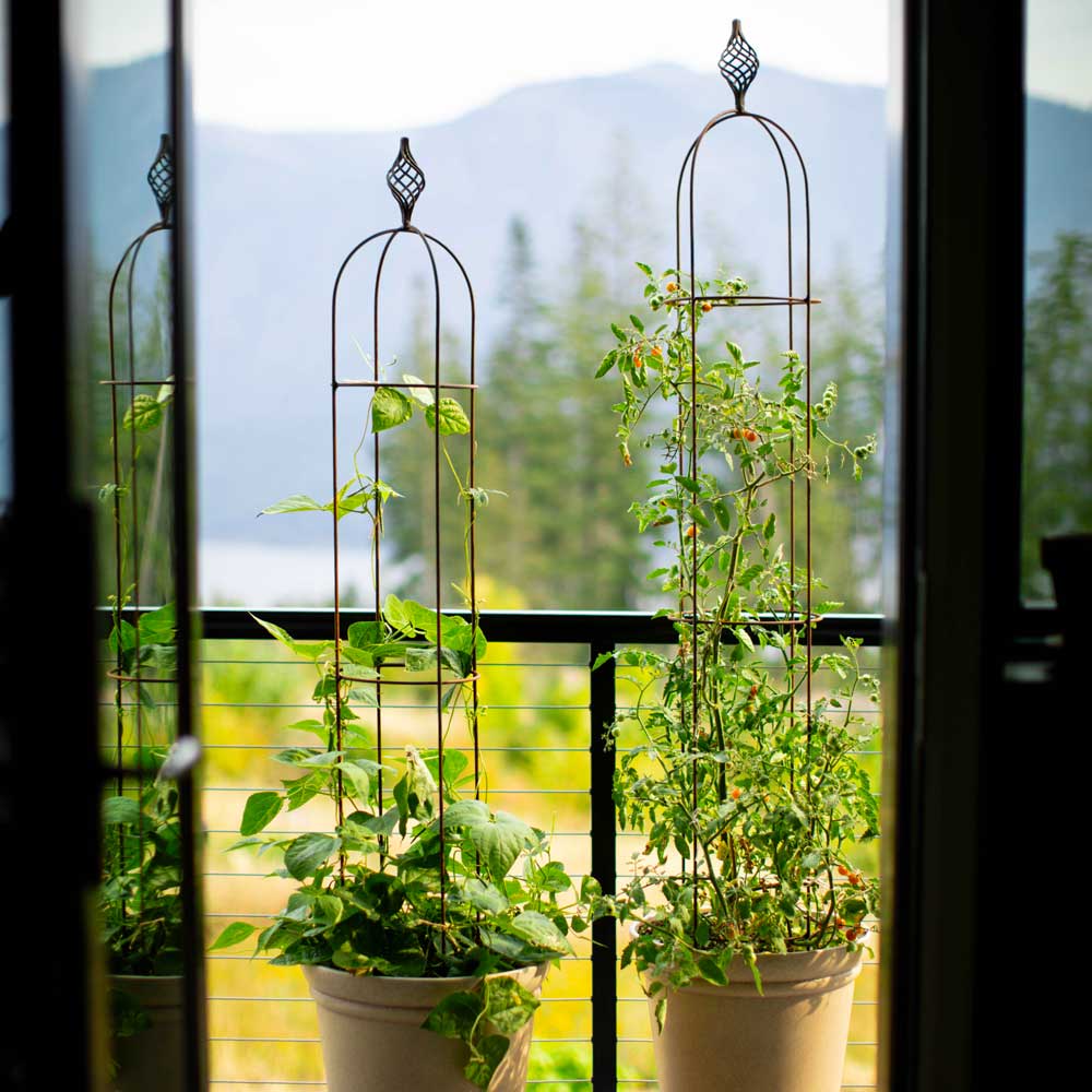 two elegant garden obelisks in pots with flowers growing inside